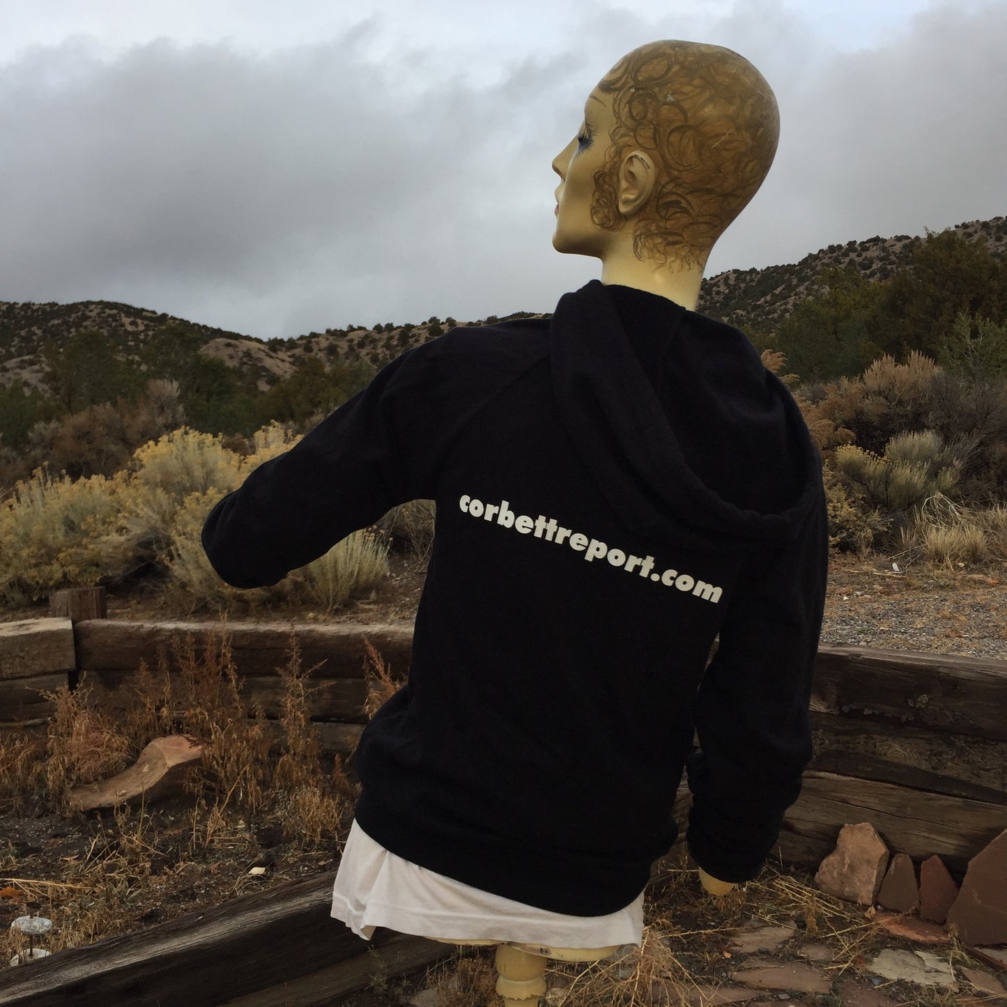 Corbett Report Hoodie