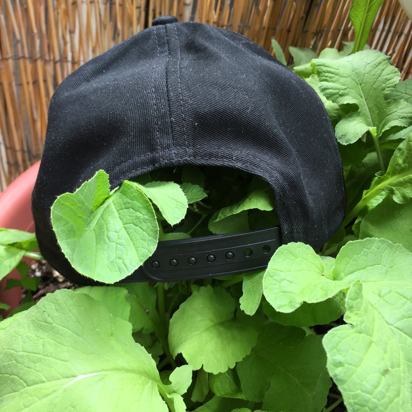 Media Monarchy 2022 Baseball Caps